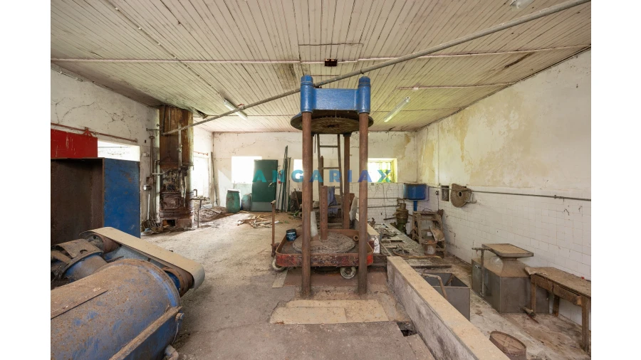 Negócio para Venda em Alvados e Alcaria Foto 8