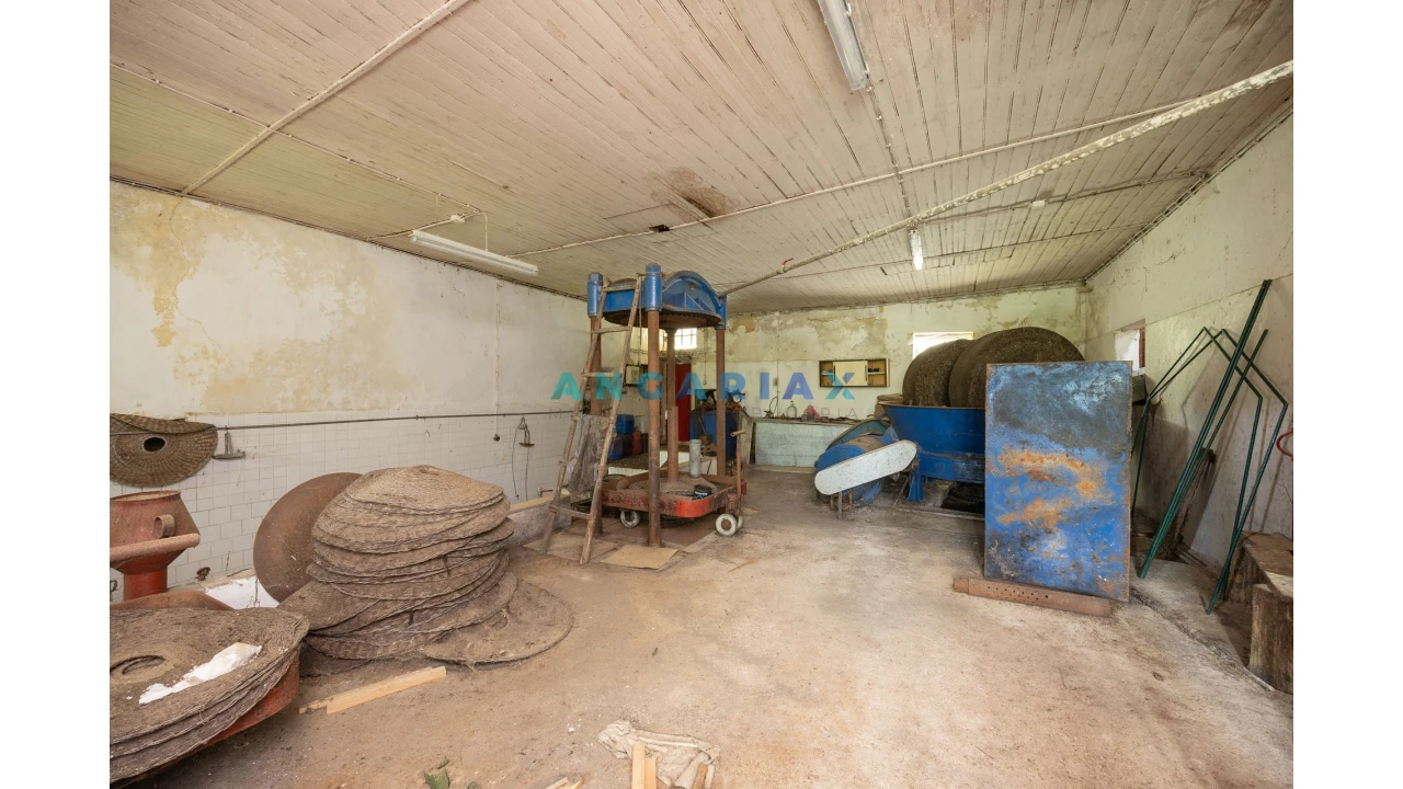 Negócio para Venda em Alvados e Alcaria Foto 1