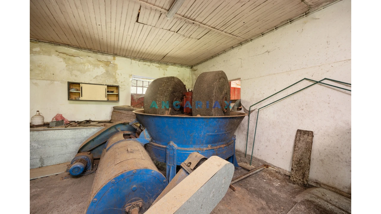 Negócio para Venda em Alvados e Alcaria Foto 7