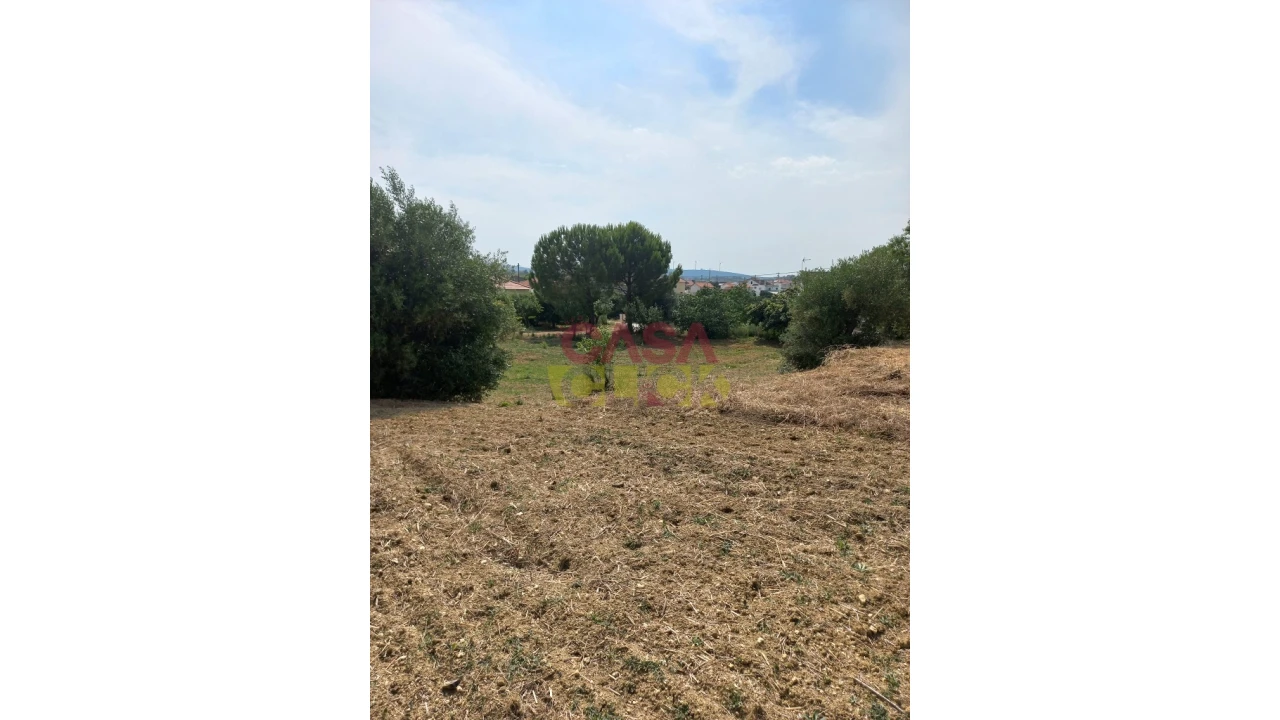 Terreno Agricola ou Rústico para Venda em Assentiz Foto 8