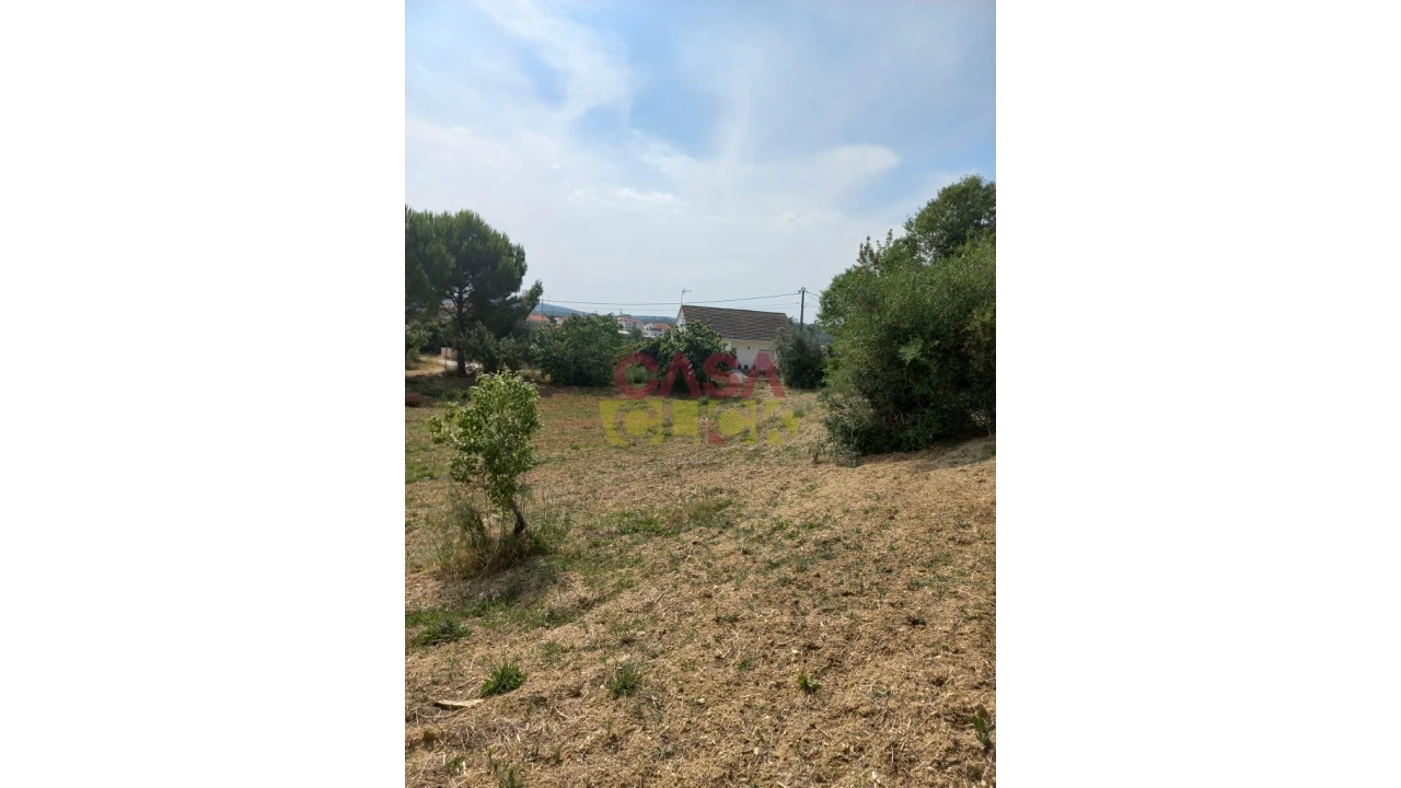 Terreno Agricola ou Rústico para Venda em Assentiz Foto 4