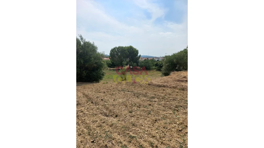 Terreno Agricola ou Rústico para Venda em Assentiz Foto 8