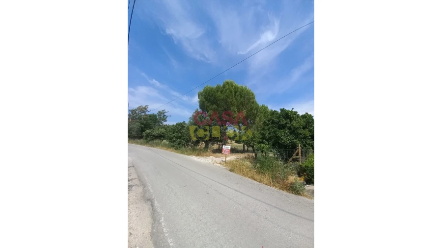 Terreno Agricola ou Rústico para Venda em Assentiz Foto 9