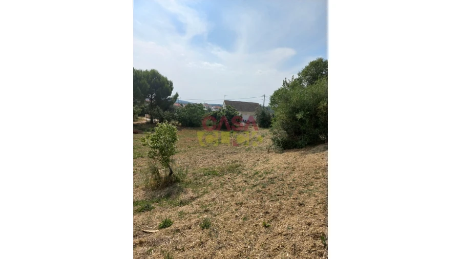 Terreno Agricola ou Rústico para Venda em Assentiz Foto 4