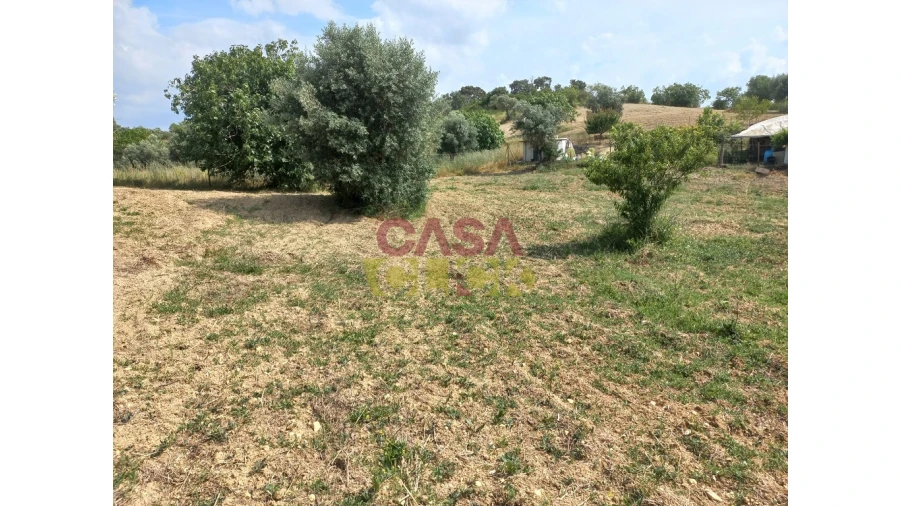 Terreno Agricola ou Rústico para Venda em Assentiz Foto 2