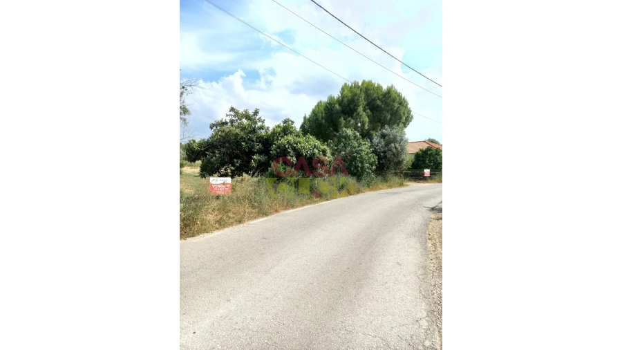 Terreno Agricola ou Rústico para Venda em Assentiz Foto 10