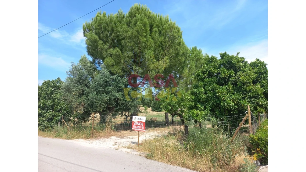 Terreno Agricola ou Rústico para Venda em Assentiz Foto 3