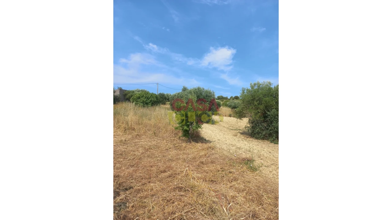 Terreno Agricola ou Rústico para Venda em Assentiz Foto 14