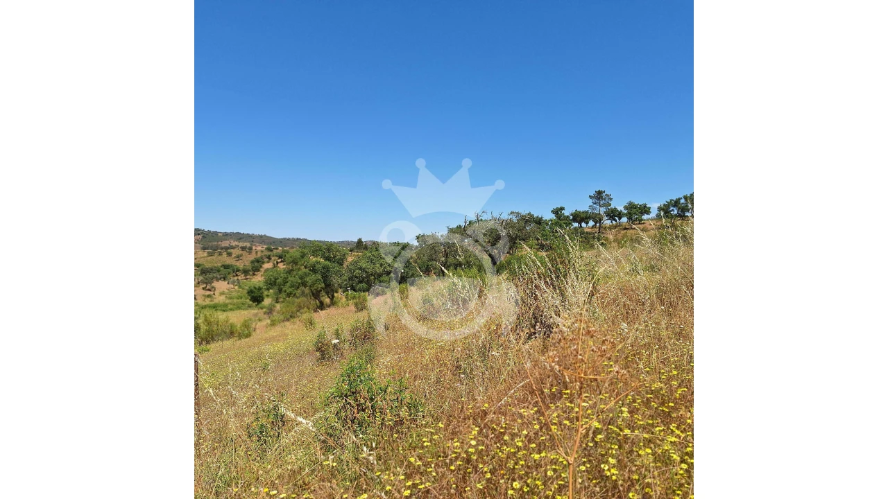 Quinta T1 para Venda em Portel Foto 5