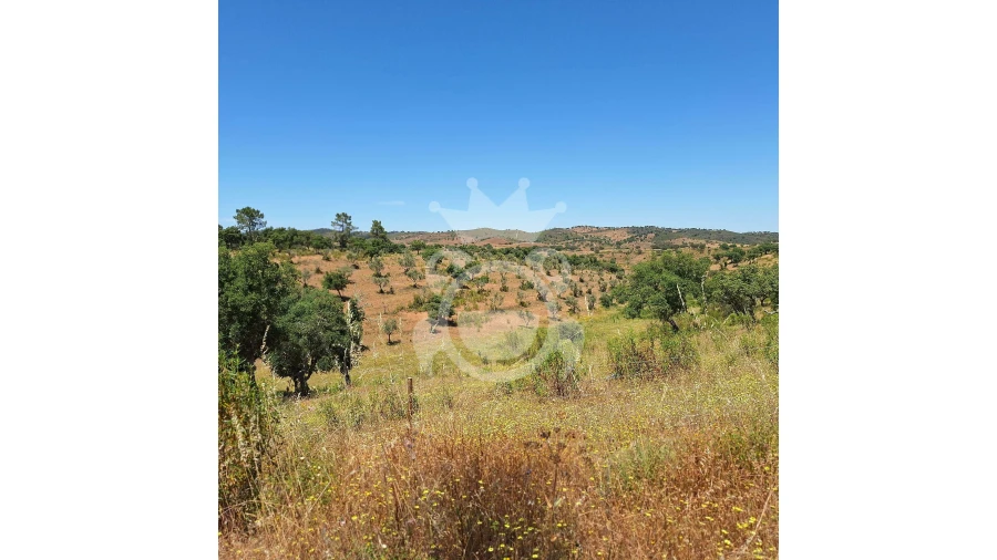 Quinta T1 para Venda em Portel Foto 6