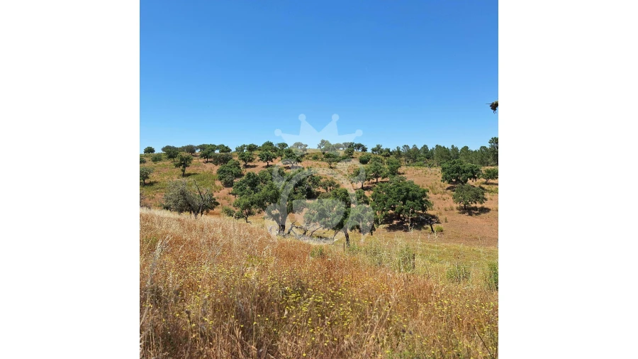 Quinta T1 para Venda em Portel Foto 4