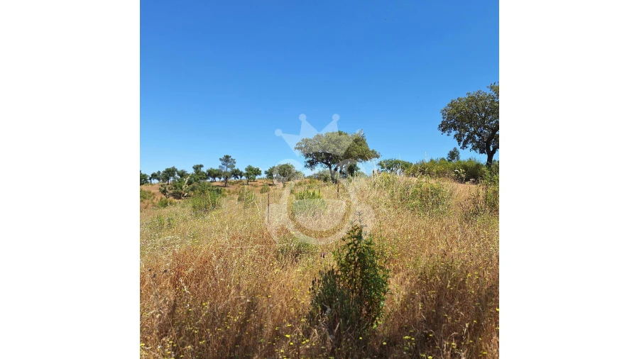 Quinta T1 para Venda em Portel Foto 7