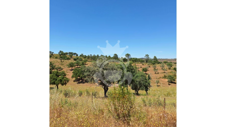 Quinta T1 para Venda em Portel Foto 3