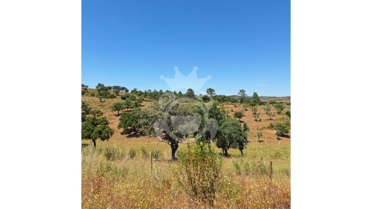 Quinta T1 para Venda em Portel Foto 3