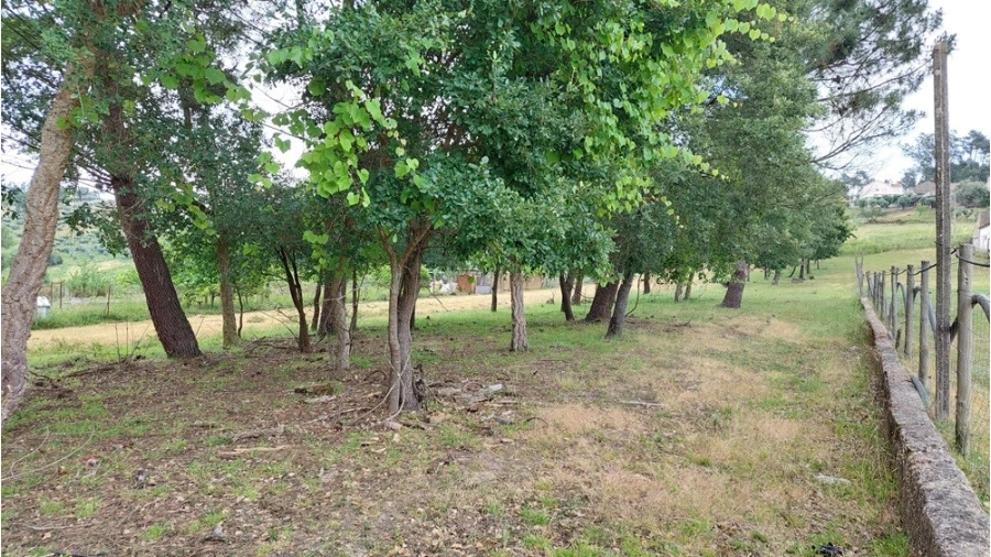 Terreno para Venda em Leiria, Pousos, Barreira e Cortes Foto 3