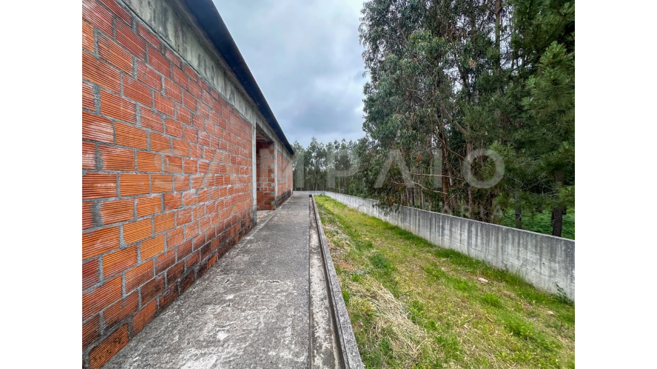 Moradia T3 para Venda em Canedo, Vale e Vila Maior Foto 21