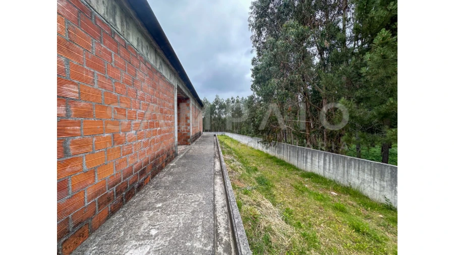 Moradia T3 para Venda em Canedo, Vale e Vila Maior Foto 21