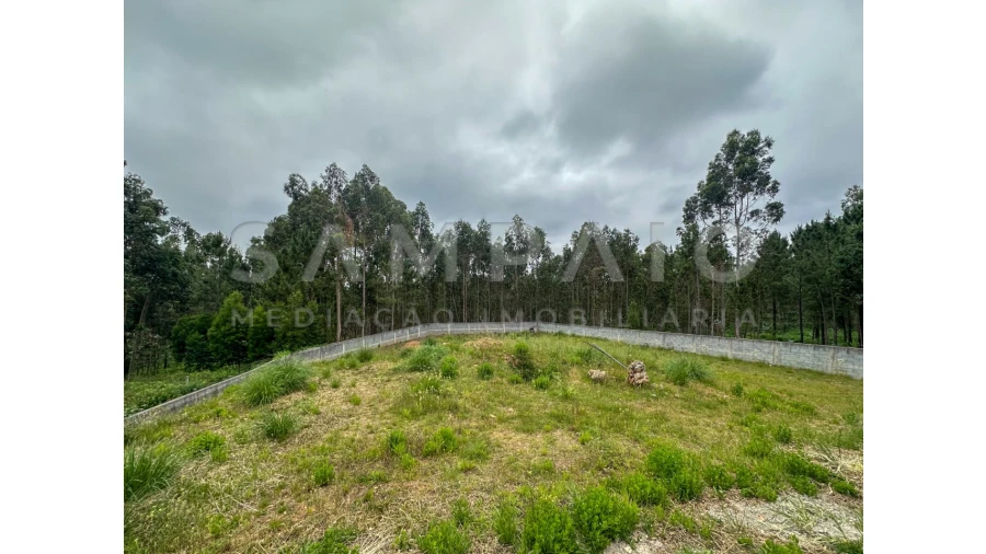 Moradia T3 para Venda em Canedo, Vale e Vila Maior Foto 32