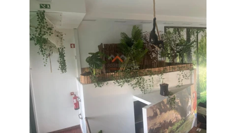 Negócio para Cedência de Quotas em Glória e Vera Cruz