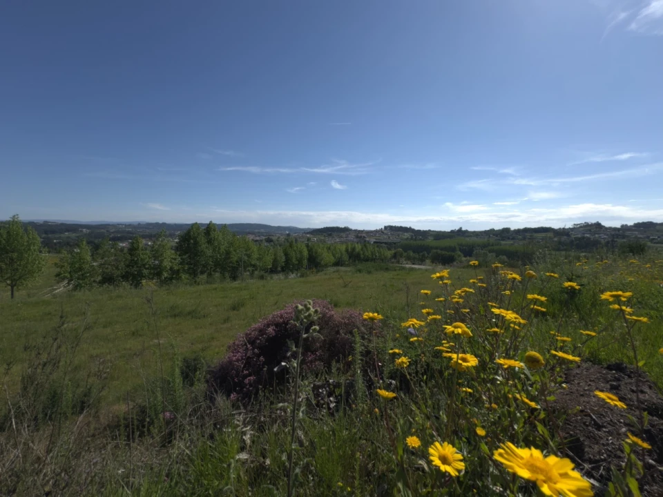 Terreno para Venda em Cernadelo e Lousada (São Miguel e Santa Margarida) Foto 11