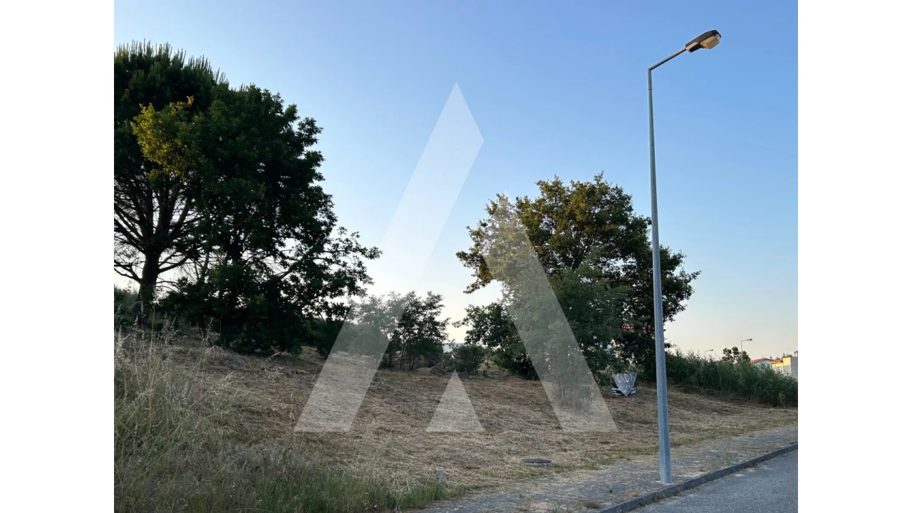 Terreno para Venda em Seixo da Beira Foto 4