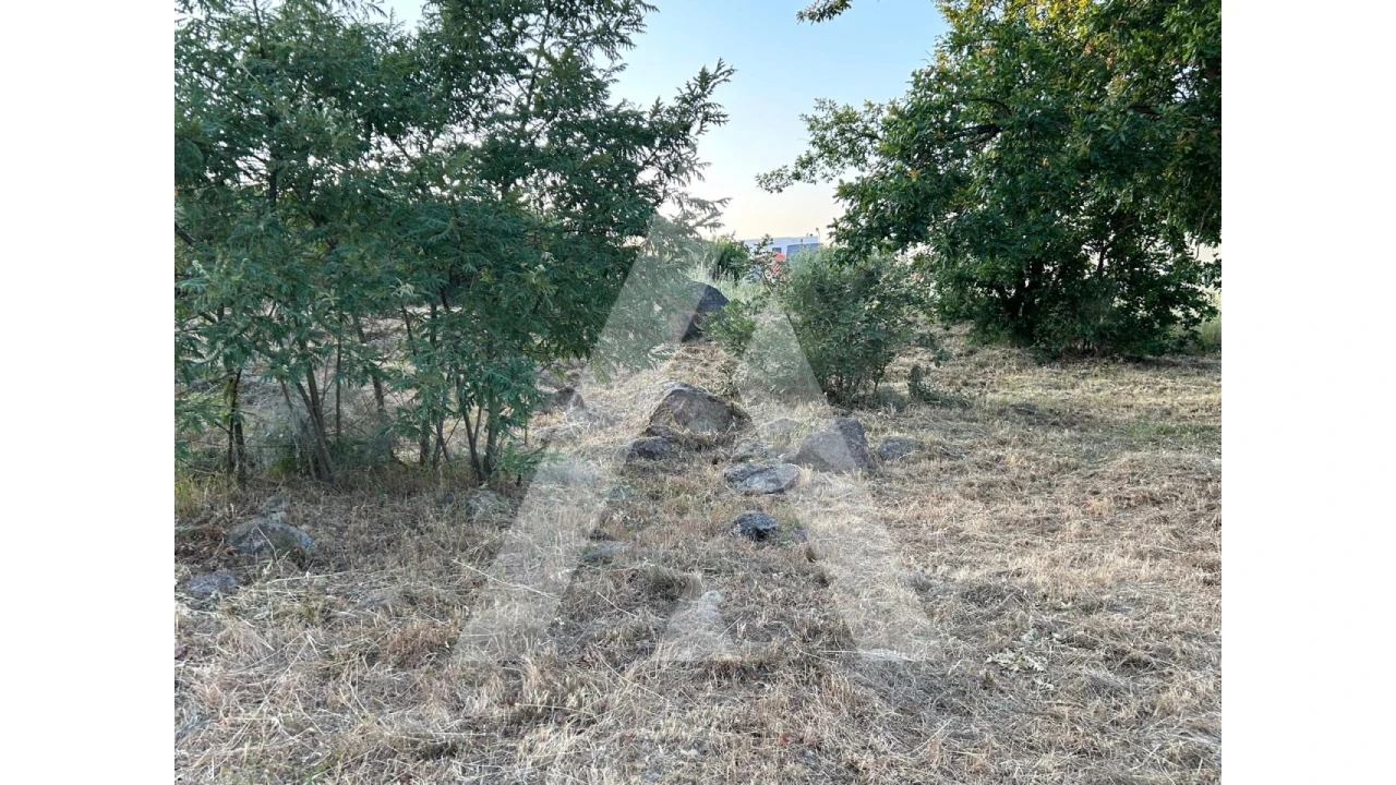 Terreno para Venda em Seixo da Beira Foto 13