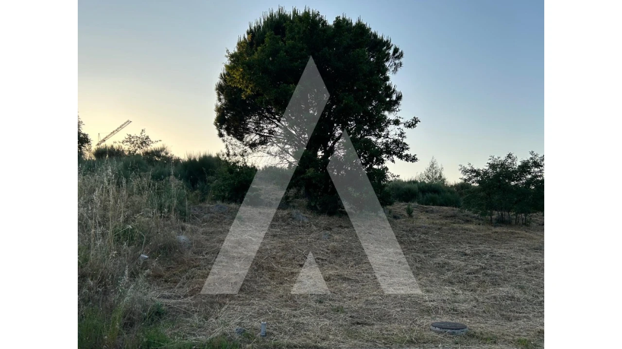 Terreno para Venda em Seixo da Beira Foto 18