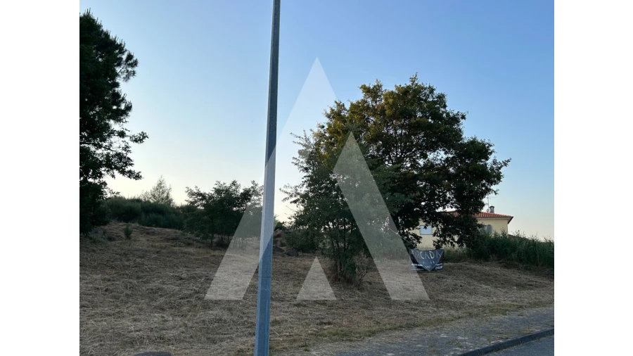 Terreno para Venda em Seixo da Beira Foto 3
