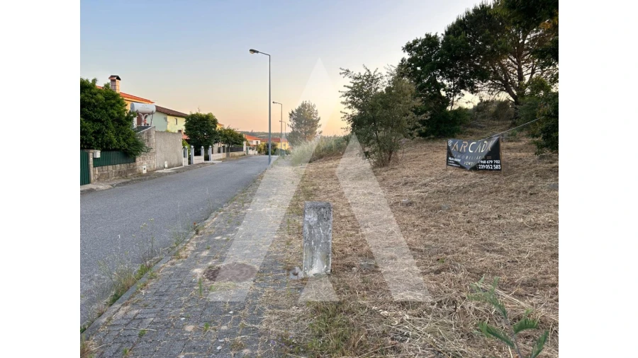 Terreno para Venda em Seixo da Beira Foto 8