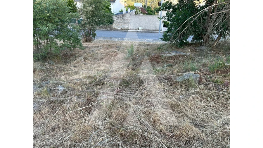 Terreno para Venda em Seixo da Beira Foto 12