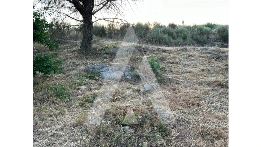 Terreno para Venda em Seixo da Beira Foto 16