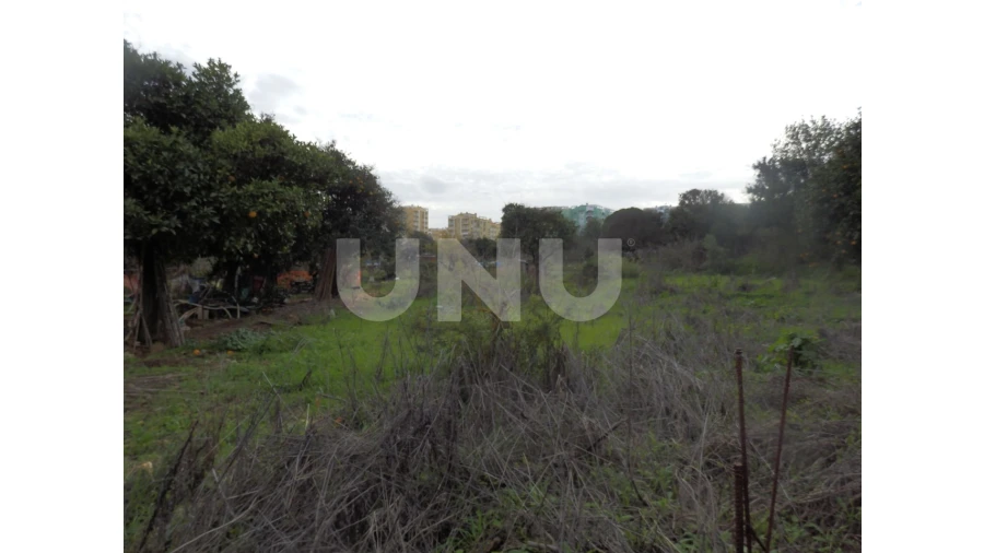 Terreno para Venda em Seixal, Arrentela e Aldeia de Paio Pires Foto 4