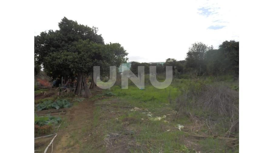 Terreno para Venda em Seixal, Arrentela e Aldeia de Paio Pires Foto 8