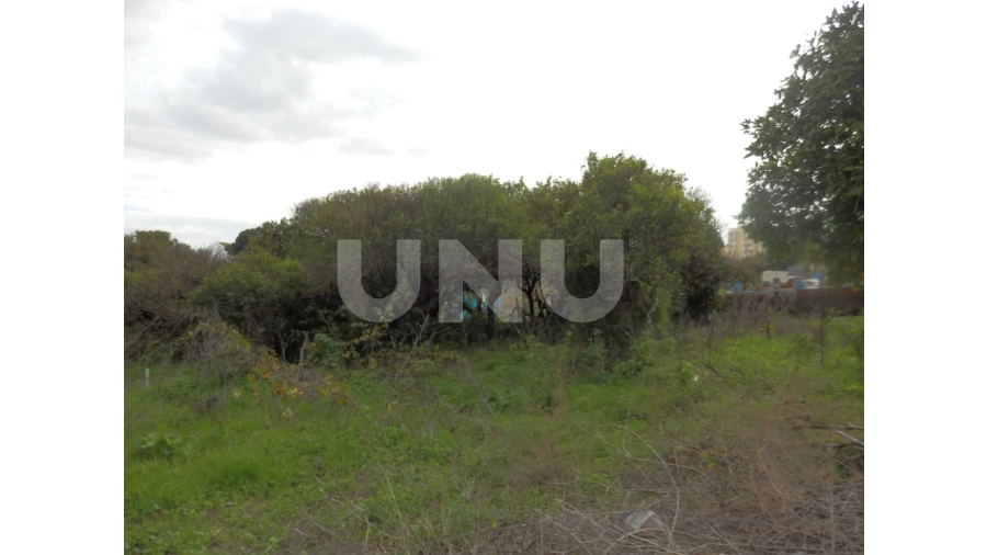 Terreno para Venda em Seixal, Arrentela e Aldeia de Paio Pires Foto 14