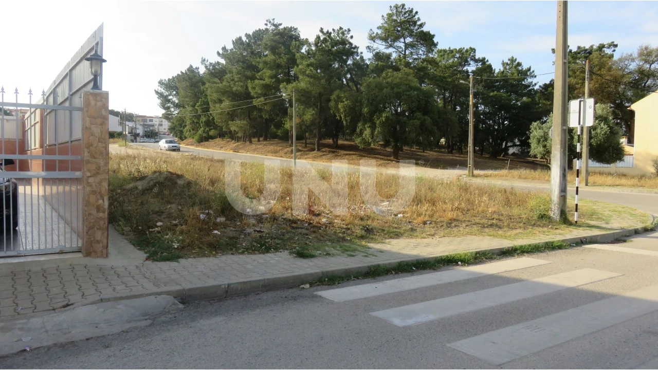 Terreno para Venda em Amora Foto 4