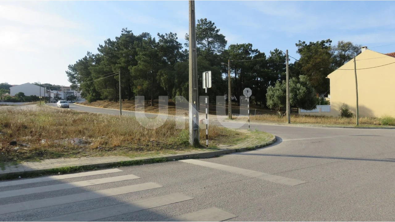 Terreno para Venda em Amora Foto 5