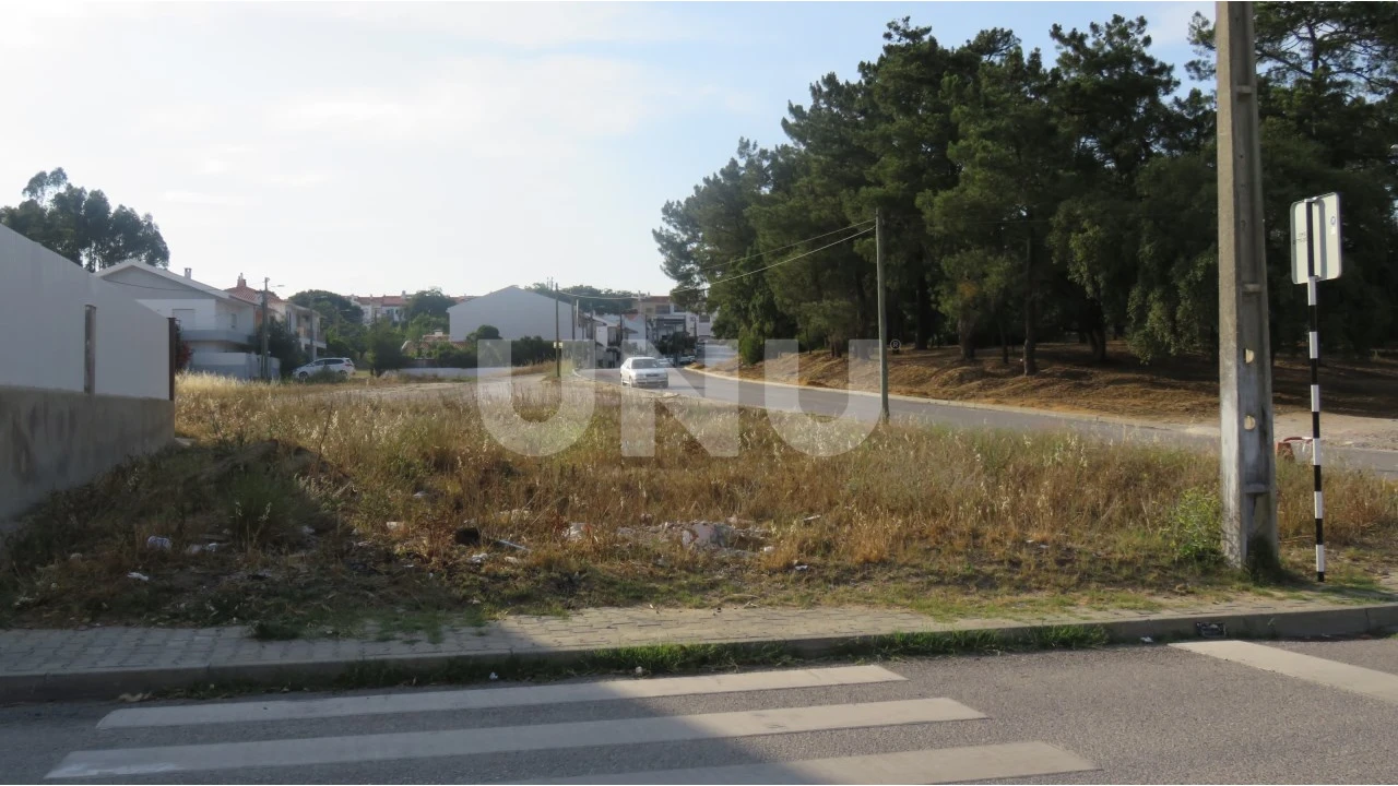 Terreno para Venda em Amora Foto 2