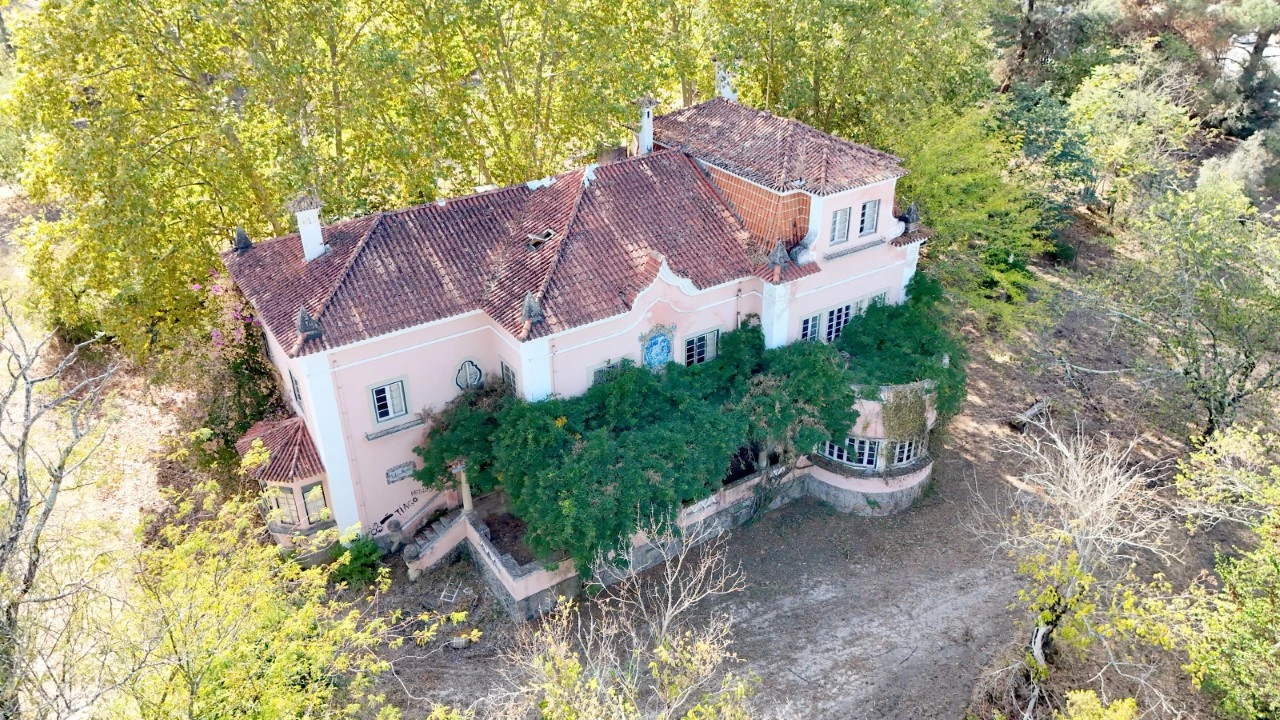 Quinta T20 para Venda em Abrantes (São Vicente e São João) e Alferrarede Foto 1