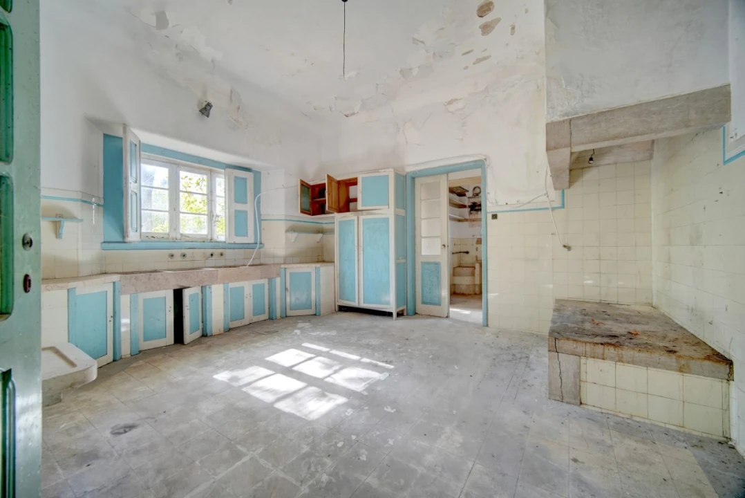 Quinta T20 para Venda em Abrantes (São Vicente e São João) e Alferrarede Foto 5