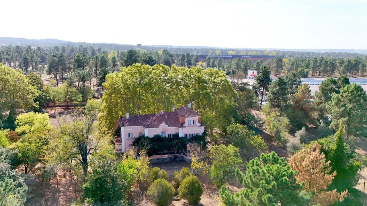 Quinta T20 para Venda em Abrantes (São Vicente e São João) e Alferrarede Foto 32
