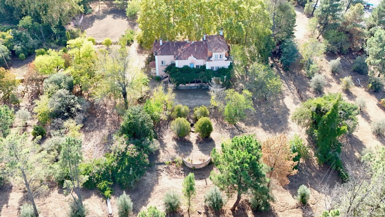 Quinta T20 para Venda em Abrantes (São Vicente e São João) e Alferrarede Foto 33