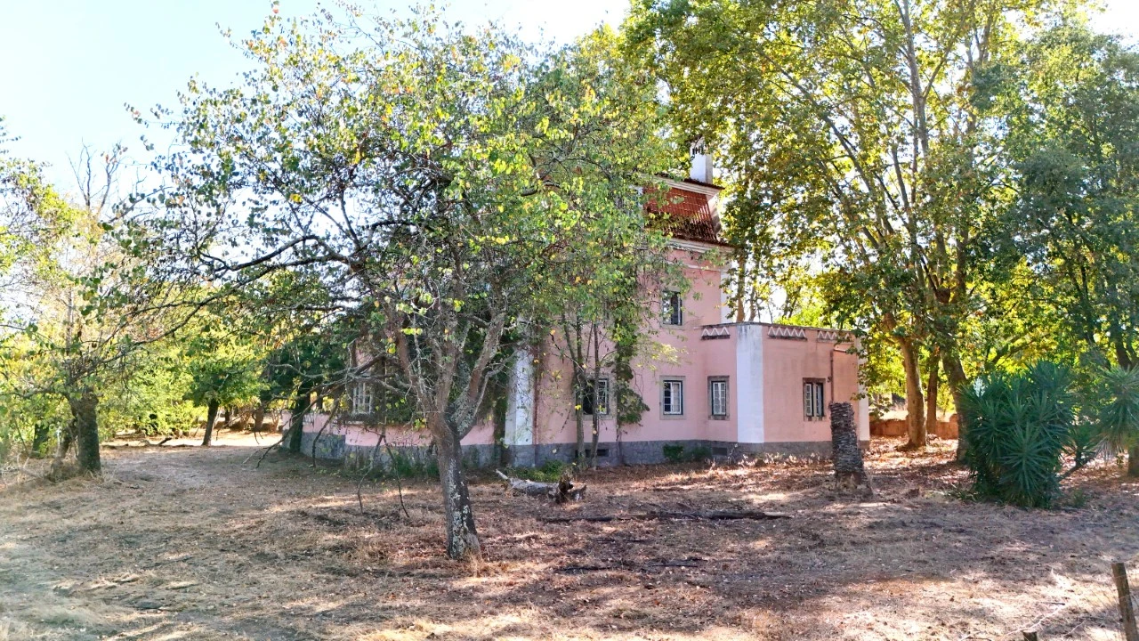 Quinta T20 para Venda em Abrantes (São Vicente e São João) e Alferrarede Foto 38