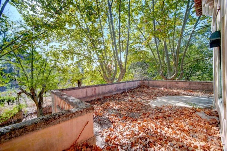 Quinta T20 para Venda em Abrantes (São Vicente e São João) e Alferrarede Foto 25