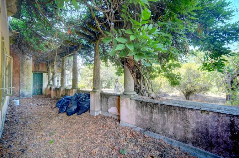 Quinta T20 para Venda em Abrantes (São Vicente e São João) e Alferrarede Foto 30