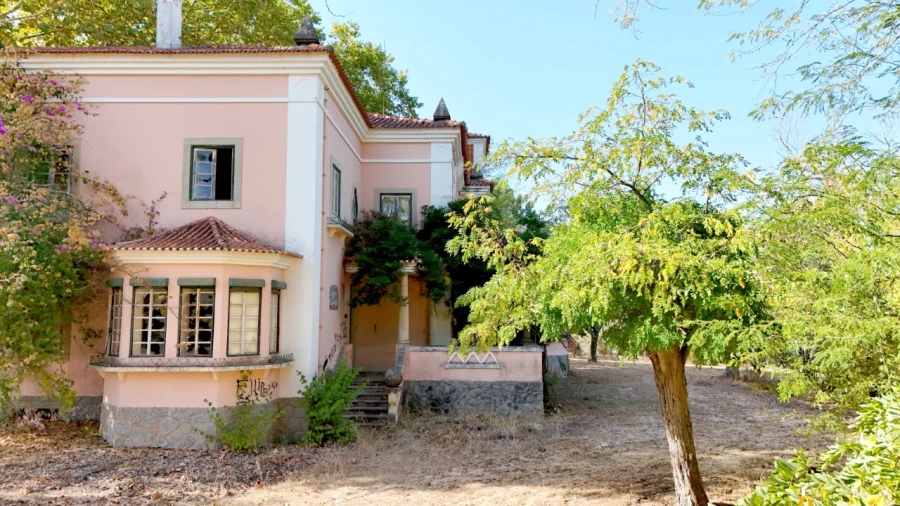 Quinta T20 para Venda em Abrantes (São Vicente e São João) e Alferrarede Foto 35