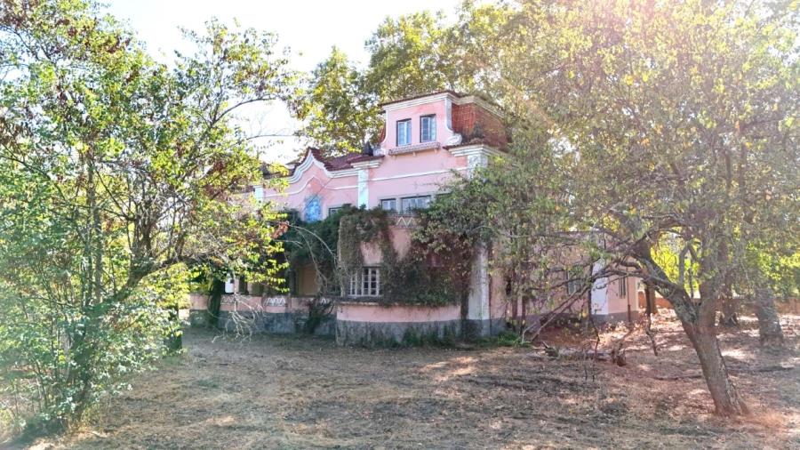 Quinta T20 para Venda em Abrantes (São Vicente e São João) e Alferrarede Foto 37