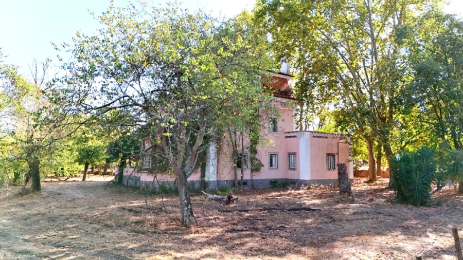 Quinta T20 para Venda em Abrantes (São Vicente e São João) e Alferrarede Foto 38