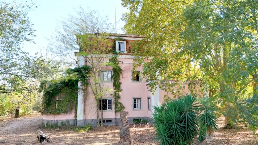 Quinta T20 para Venda em Abrantes (São Vicente e São João) e Alferrarede Foto 39