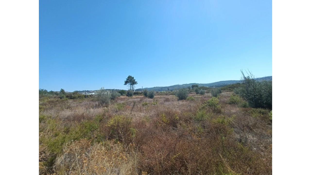 Terreno para Venda em Ortiga Foto 7