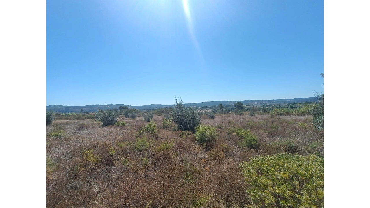Terreno para Venda em Ortiga Foto 11